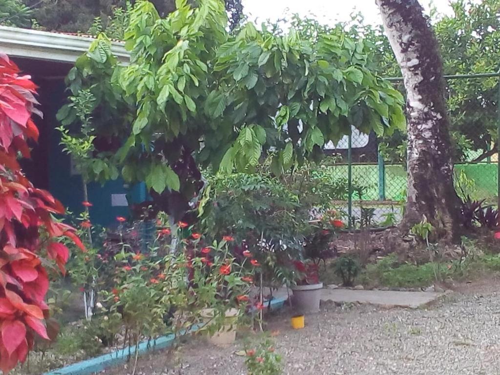 Cabinas Surf Side Cahuita Bagian luar foto